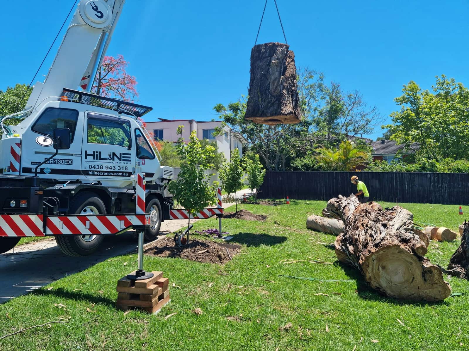 Completed tree care project
