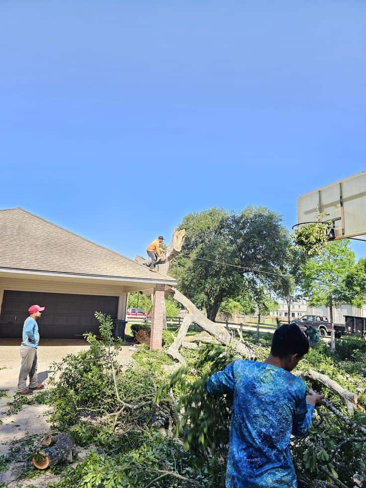 Heartwood Tree Service team
